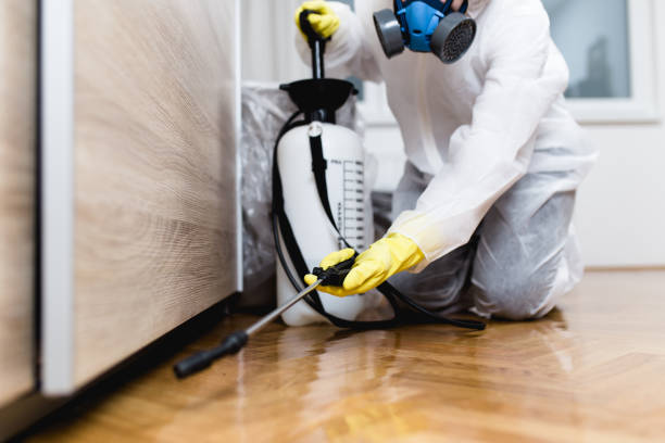 Best Residential Pest Control  in Benton Harbor, MI