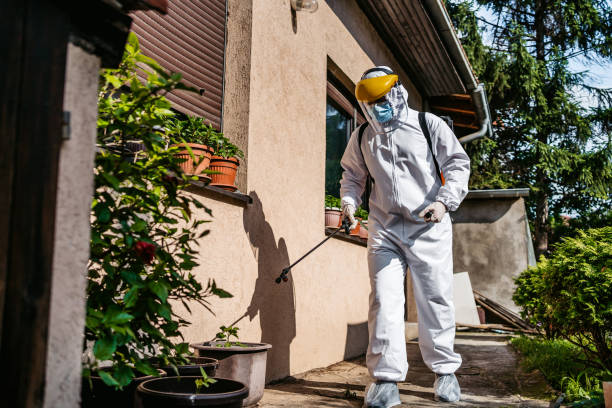 Best Cockroach Control Services  in Benton Harbor, MI