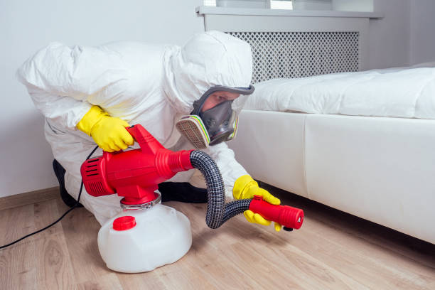 Best Affordable Pest Control Services  in Benton Harbor, MI