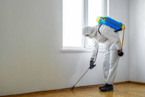 Best Wasp Removal Services  in Benton Harbor, MI