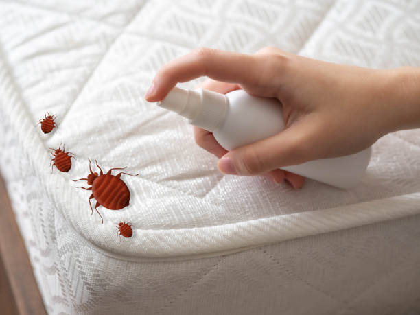 Best Best Pest Control Companies  in Benton Harbor, MI