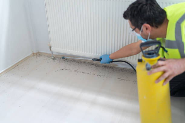 Best Flea Control Services  in Benton Harbor, MI