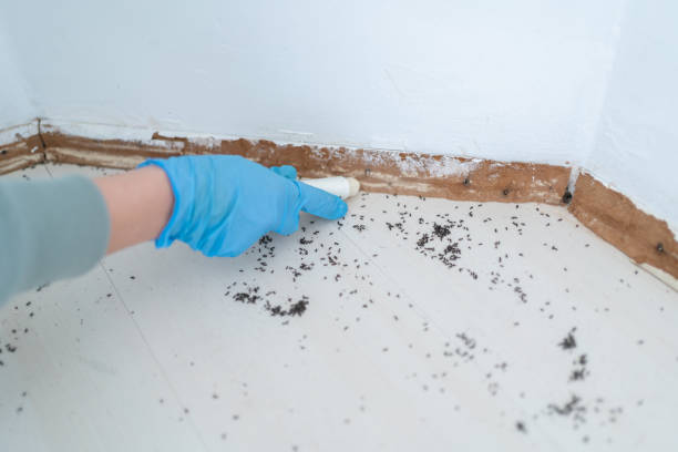 Best Wildlife Control Services  in Benton Harbor, MI